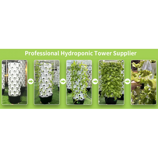 65L 6 Layer 48 Holes Garden  Vertical Farming Agricultural Hydroponics Tower System in Strawberry Greenhouse