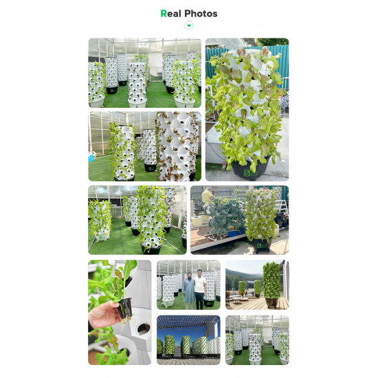 65L 6 Layer 48 Holes Garden  Vertical Farming Agricultural Hydroponics Tower System in Strawberry Greenhouse
